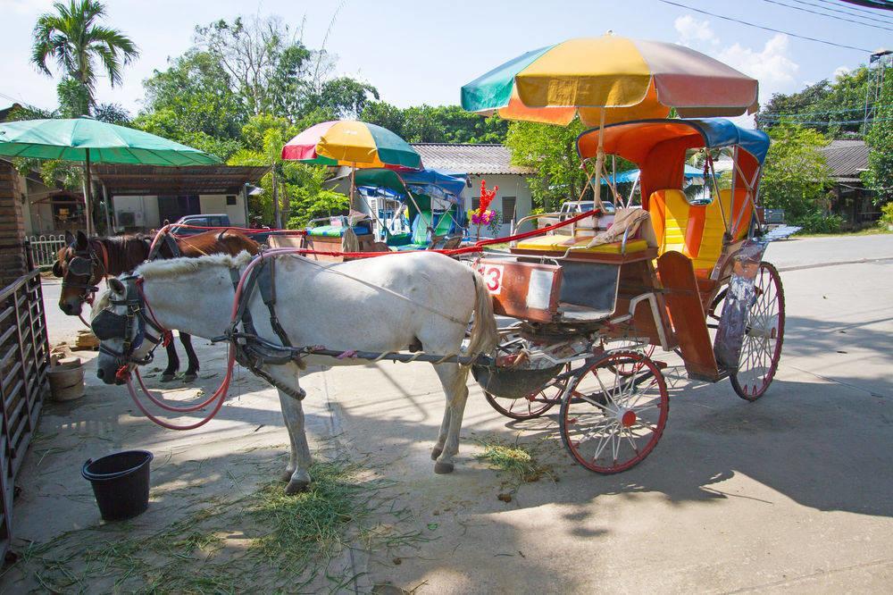 เวียงกุมกามรีสอร์ต Hotel เชียงใหม่ ภายนอก รูปภาพ